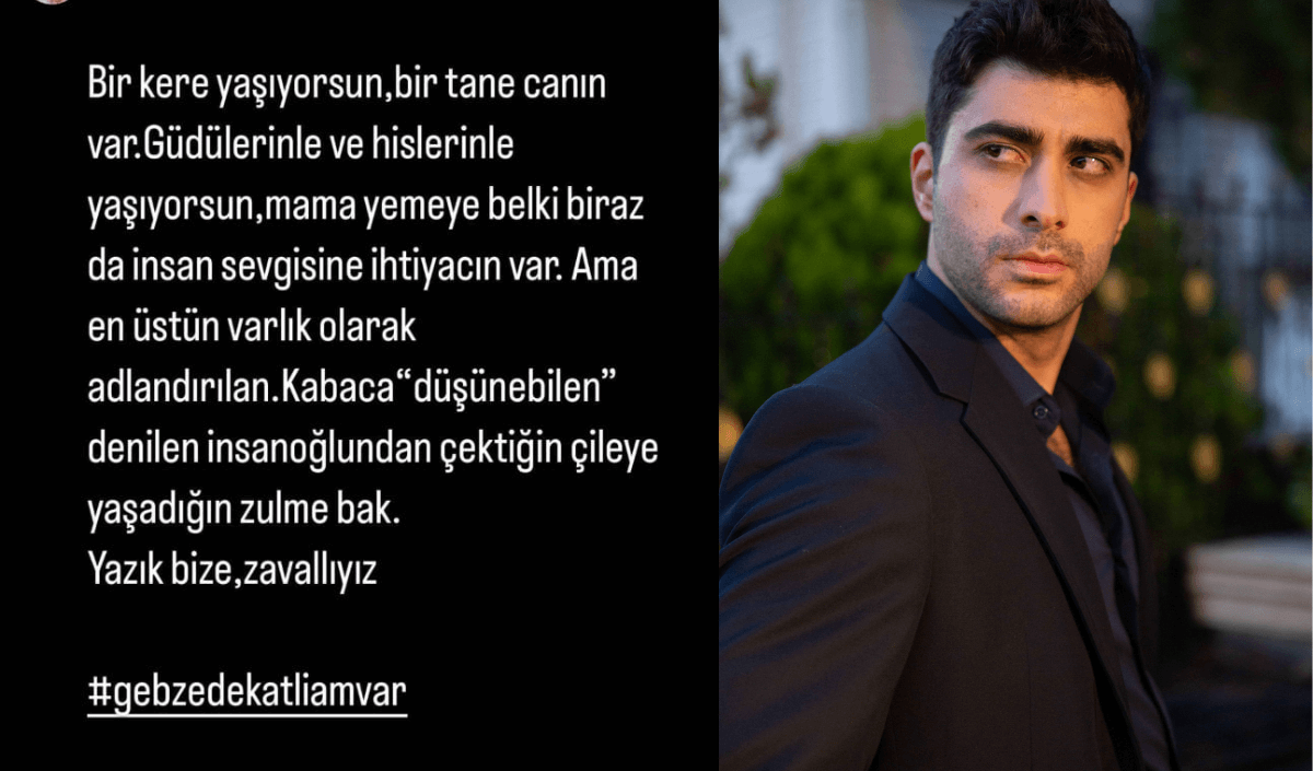 kızılcık