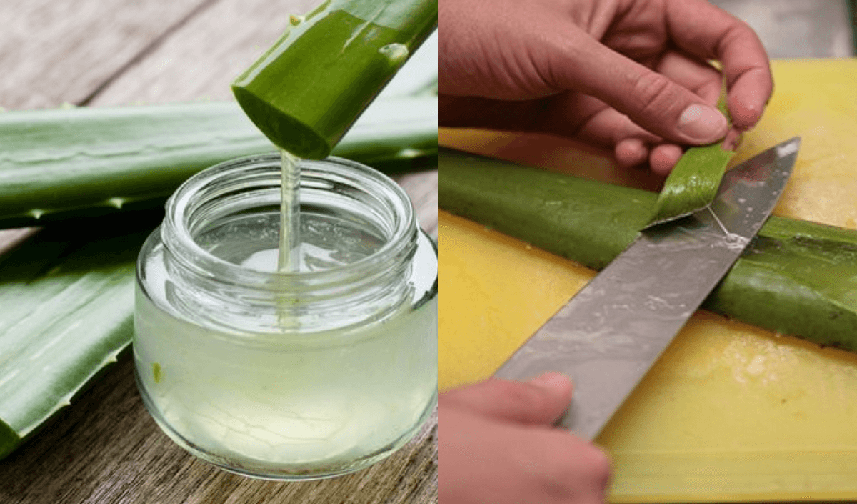 Doğal nemlendirici Aloe Vera: Kuru ciltler için ideal çözüm