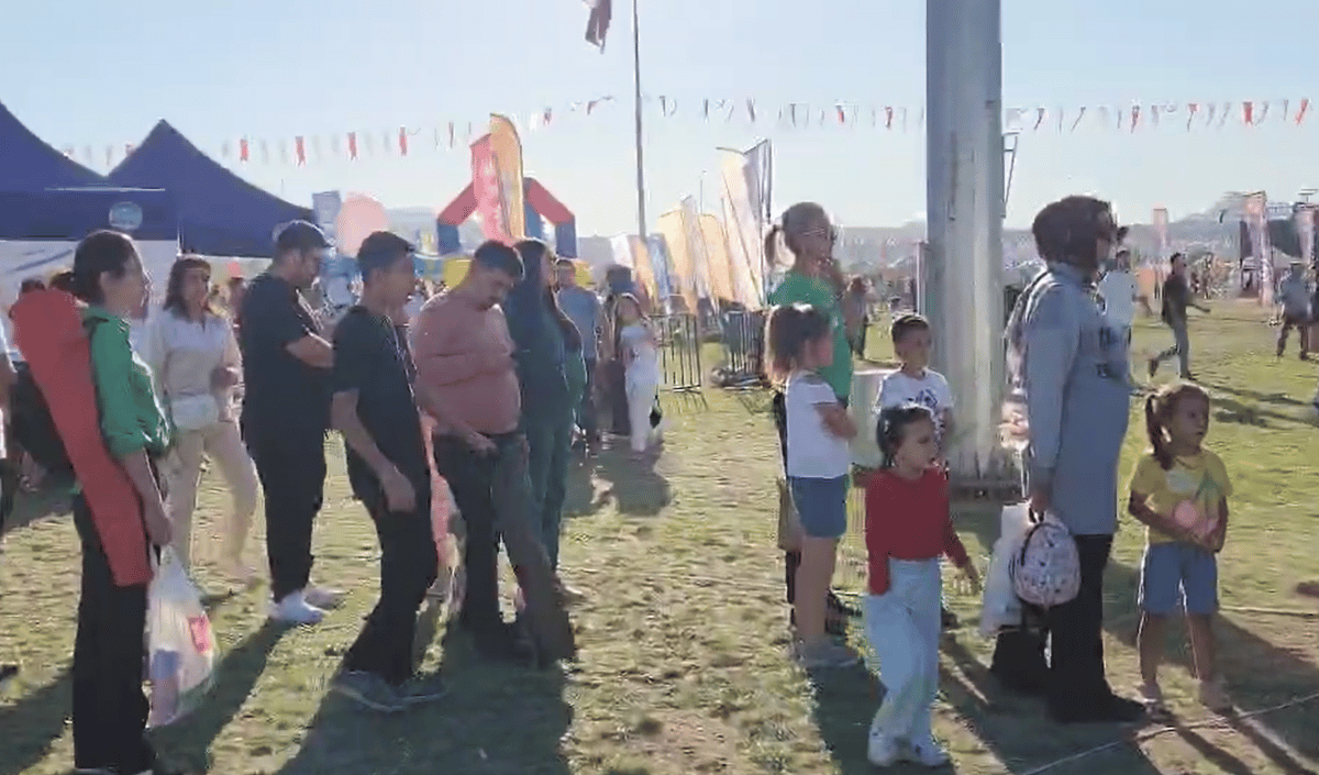 Sıra Kuyruk (2)