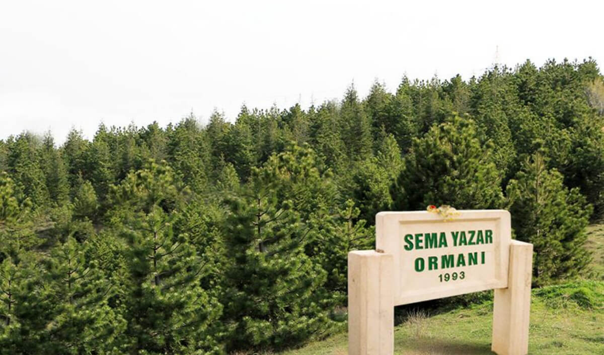 Ssemaaaa (1)