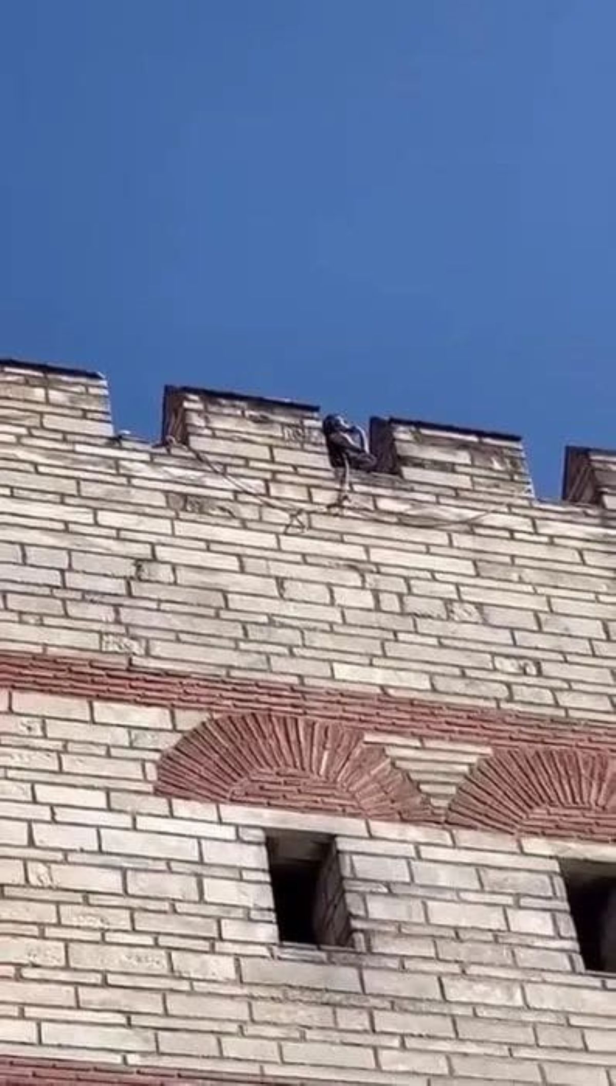 Sur Cinayeti Katilinin Çantasından Çıkanlar Şok Etti 2