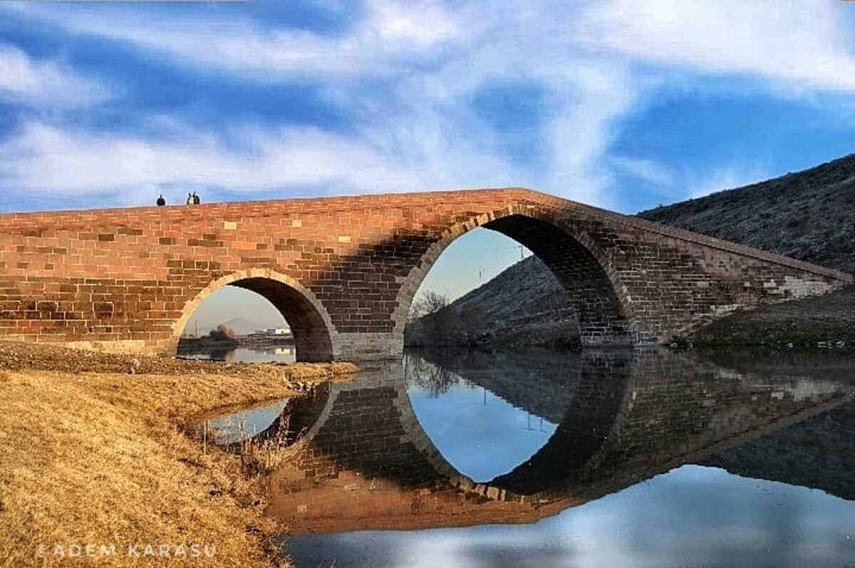 Tekgöz (1)