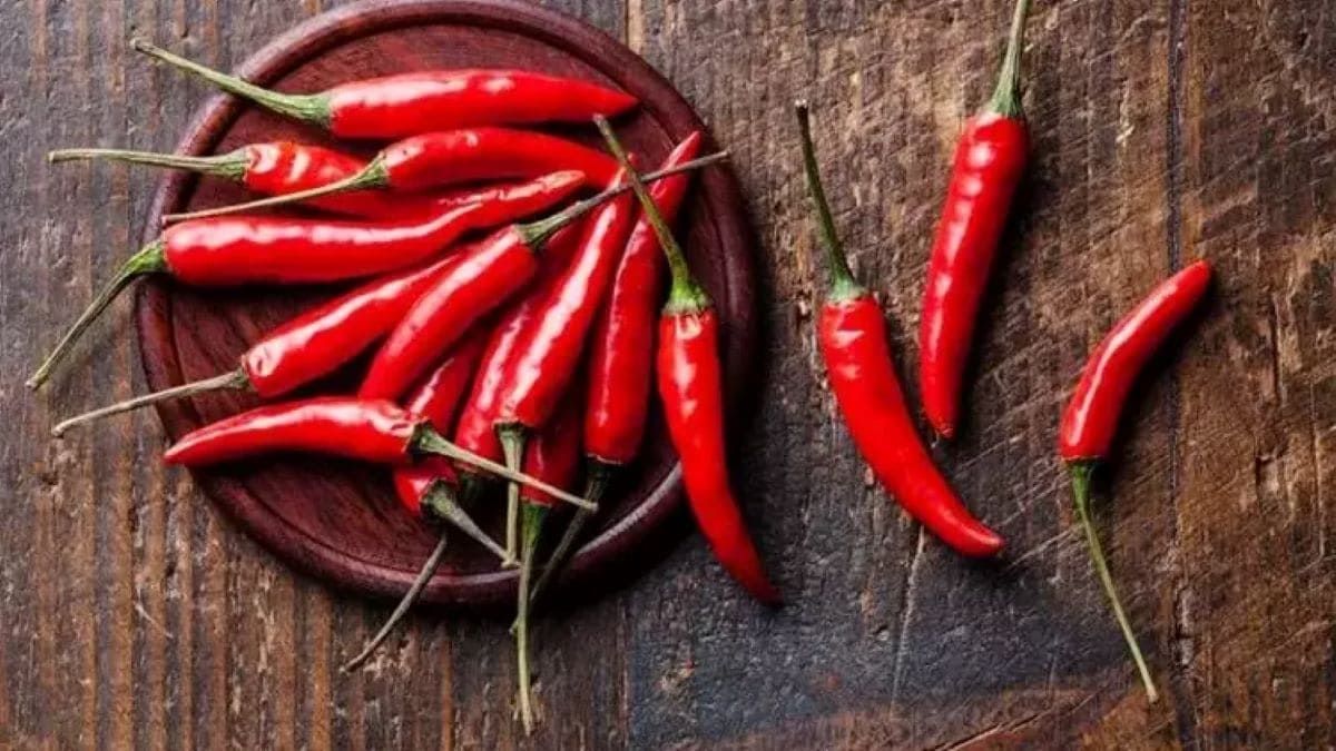 Acı Yemek Sizi Üşümekten Koruyor 1