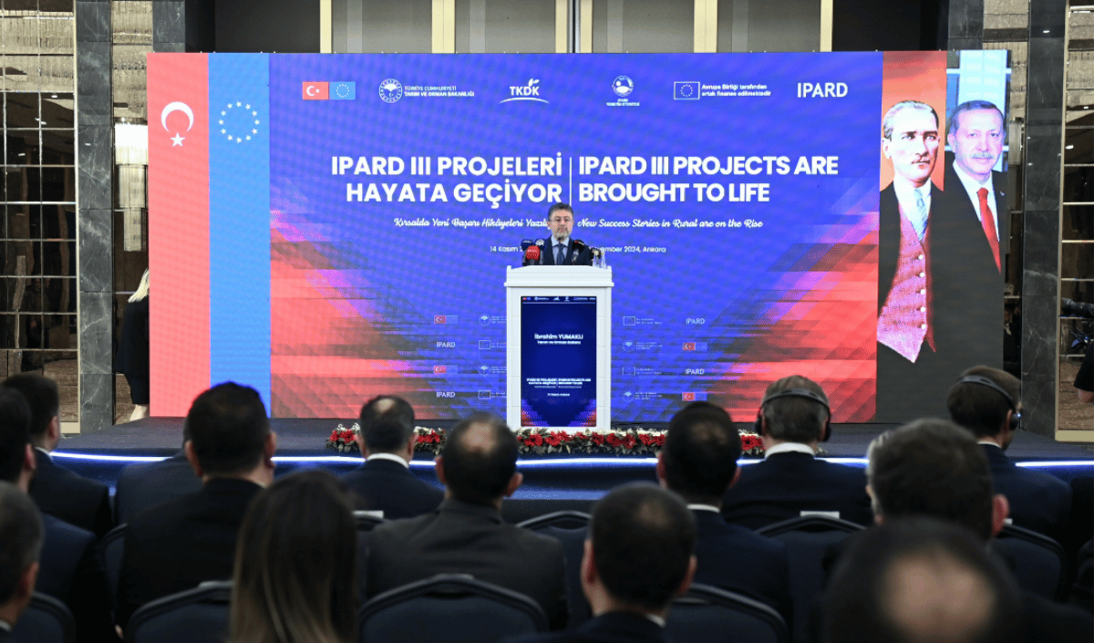 Adsız Tasarım 2024 11 14T144643.404