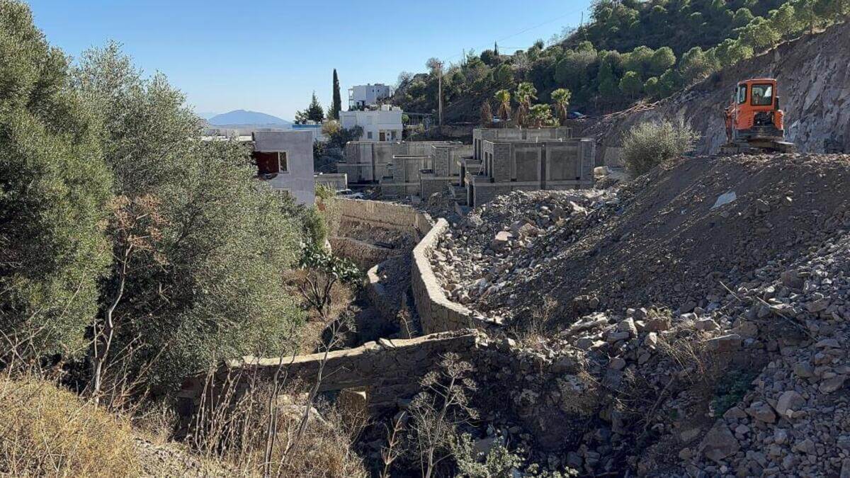 Ünlü sanatçının 8 villası için ağaç katliamı yapıldı! İlk açıklama geldi!