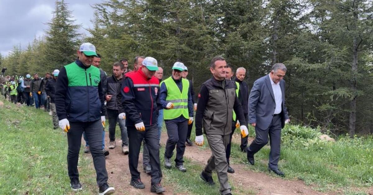 Hacılar