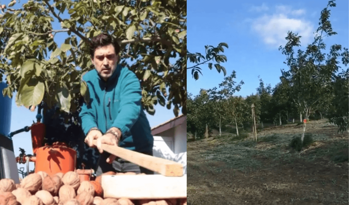 Ünlü oyuncu her şeyi bırakıp köye yerleşti! 22 dönüm araziye çiftlik kurdu!