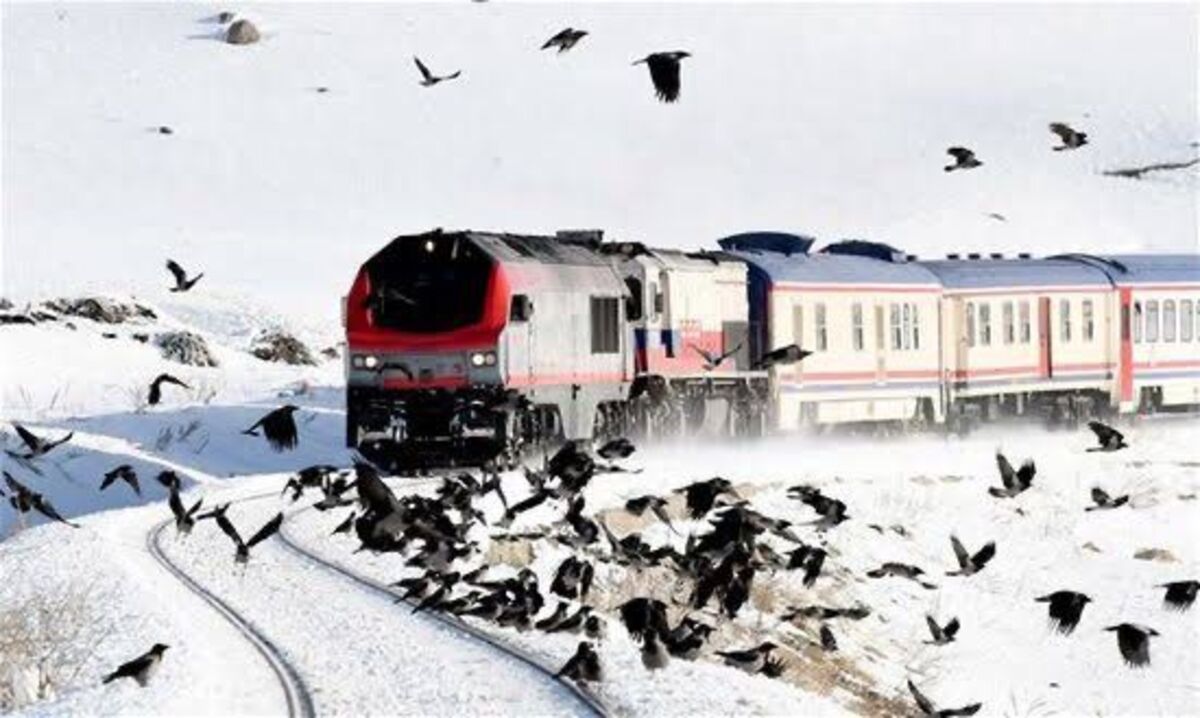 Masal Yolculuk (2)