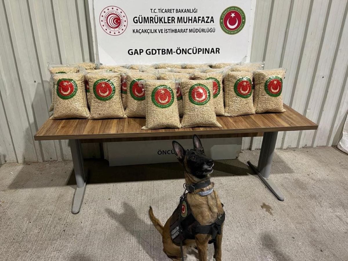 Sınırda Görevli Ekiplerden Dev Darbe Bakın Ne Ele Geçirdiler! 2