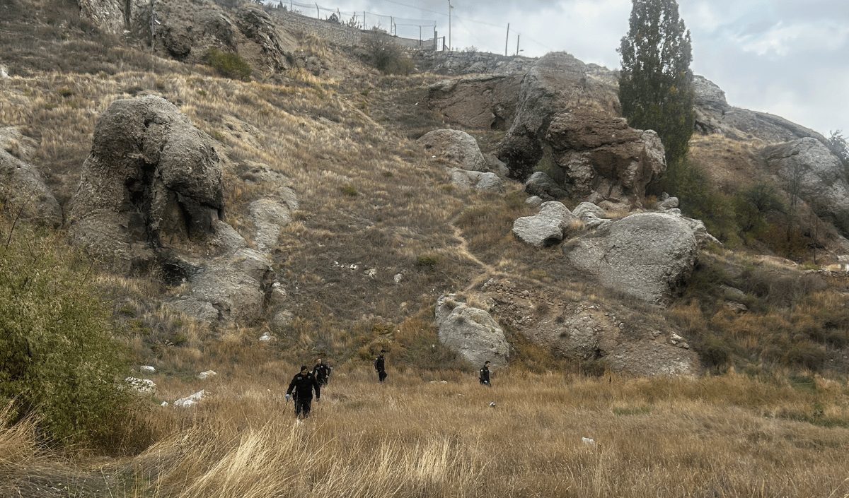 Sivasbebekcesedi (1)