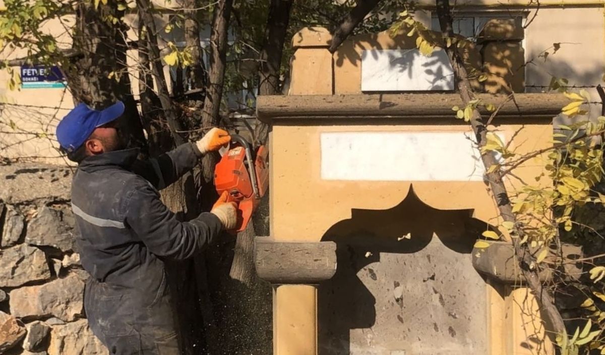 Yahyalı Mezarlık Ağaç Budama