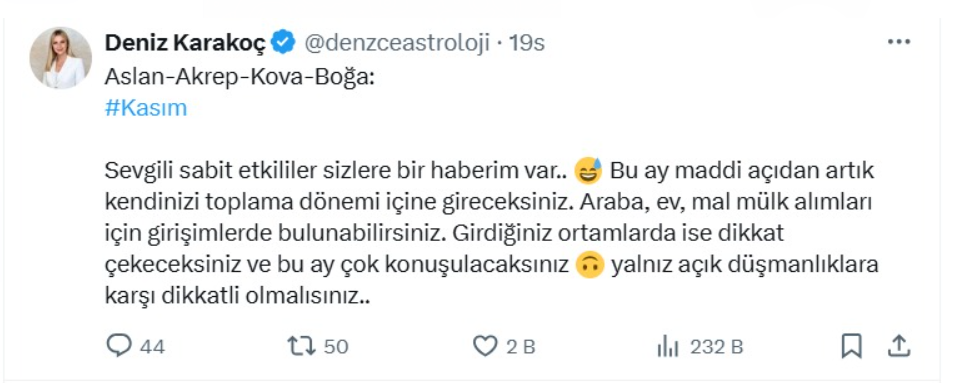 Ekran Görüntüsü 2024 11 01 174515