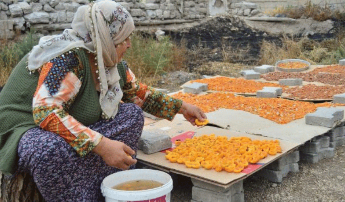 23 Aralık (12)