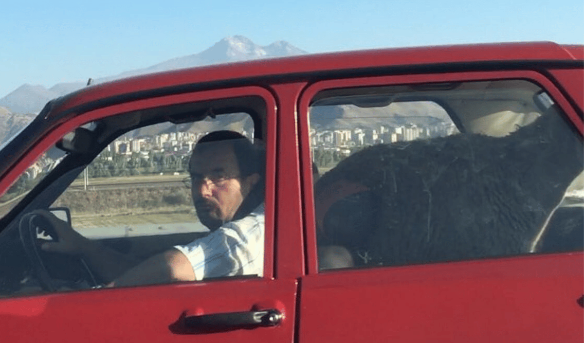 30 Aralık (30)