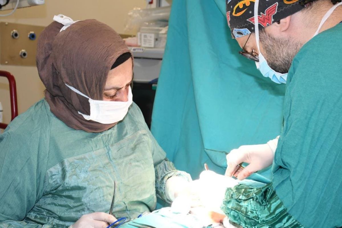 4 Yaşındaki Çocuğun Bağırsağından Bakın Ne Çıktı! 3