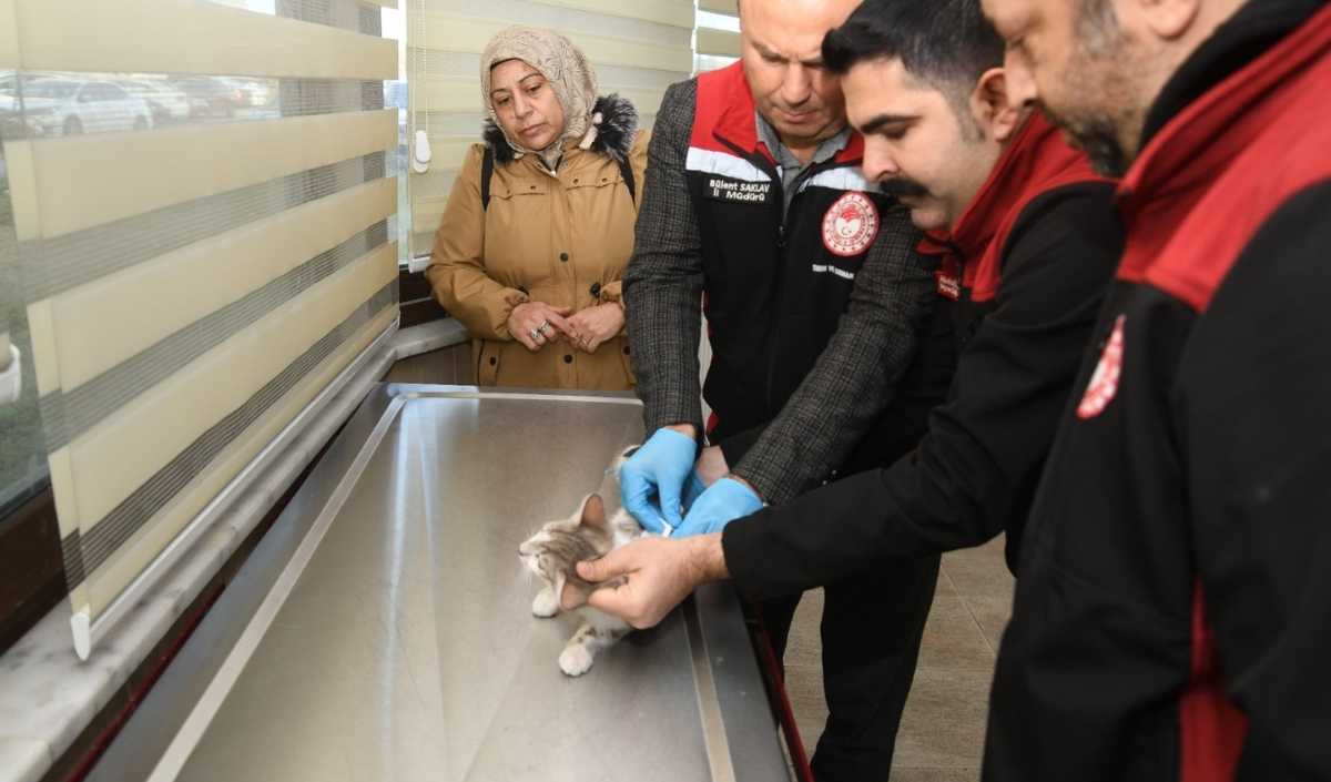 Hayvan Hakları Kayseri De Hayvan Dostu Proje (3)