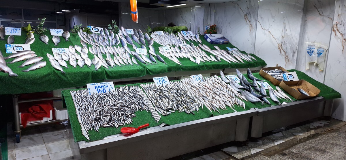 Kayseri’de Balık Fiyatları Ne Kadar Oldu 2