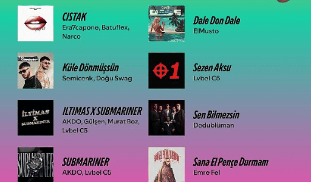 Spotify2024 (2)