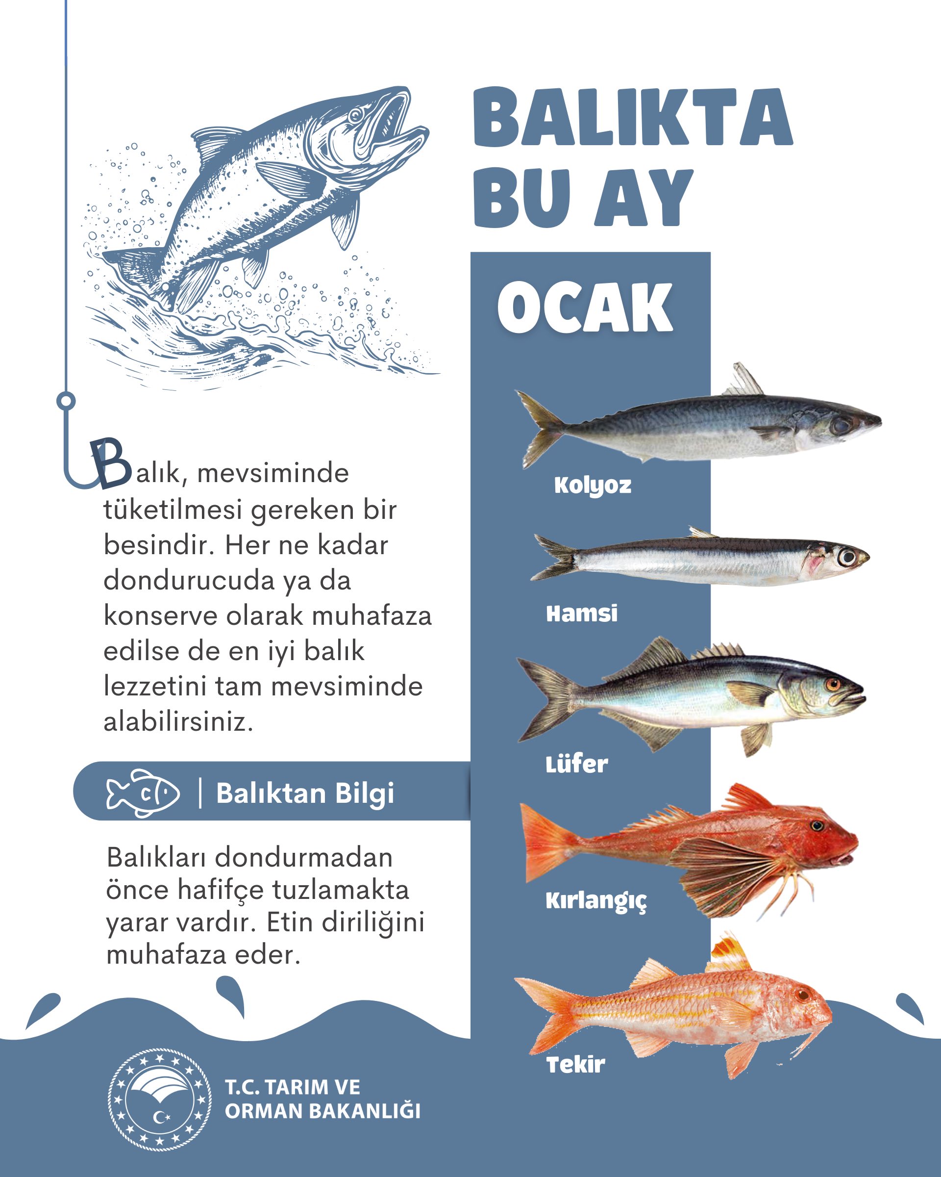 Balık
