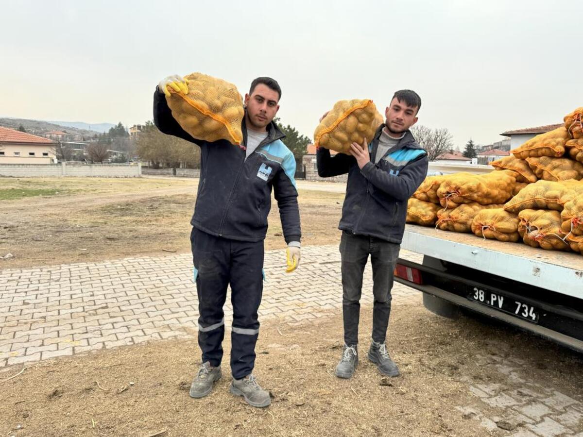 Hacılar Patates (3)