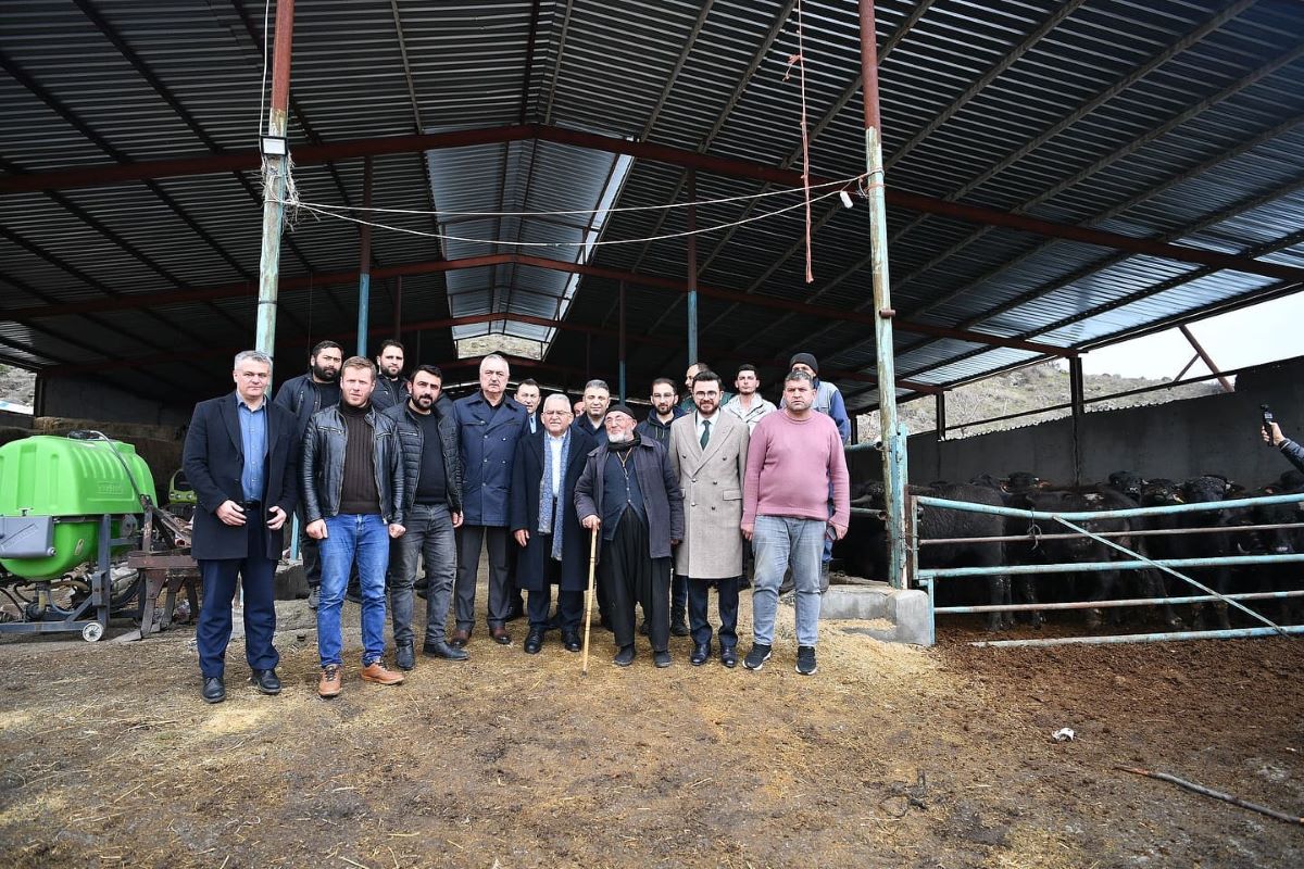 Kayseri Manda 1