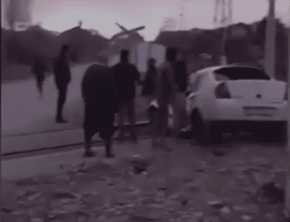 Kayseri Tren Kazası 1