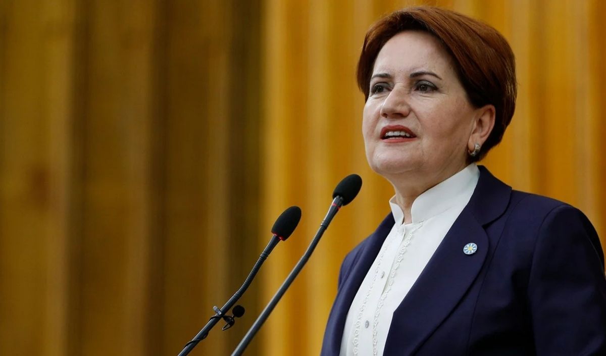 Kulislerde Şaşırtan Meral Akşener Iddiası! Cumhurbaşkanı Yardımcısı Mı Oluyor (1)