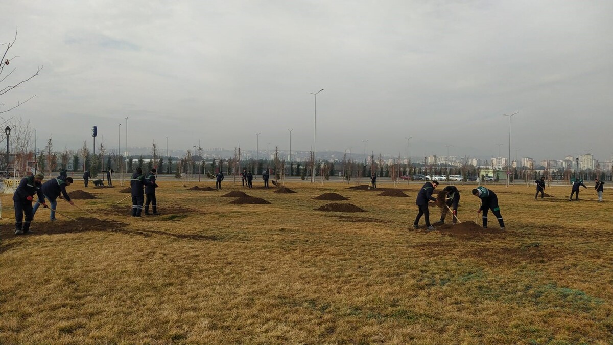 Millet Bahçesi (3)