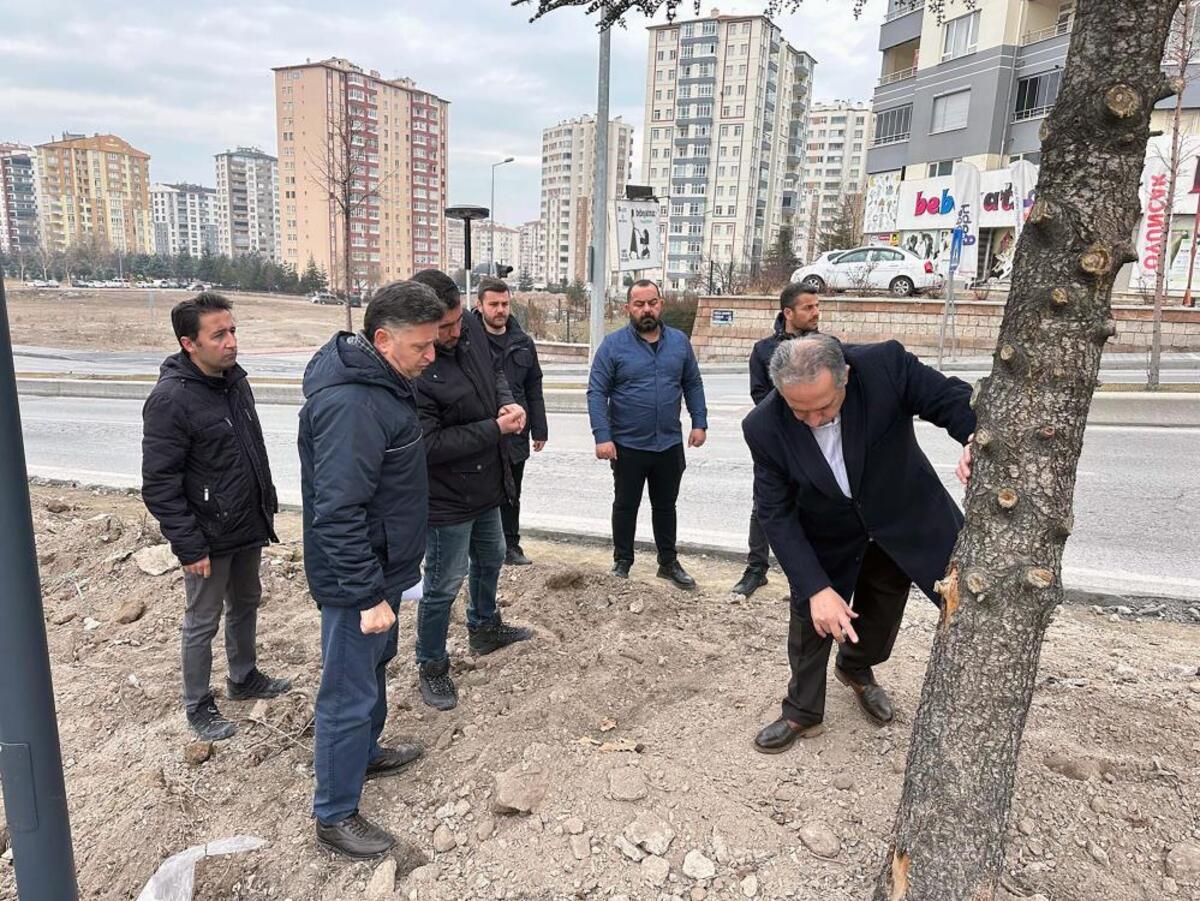 Talas Millet Bahçesi (2)