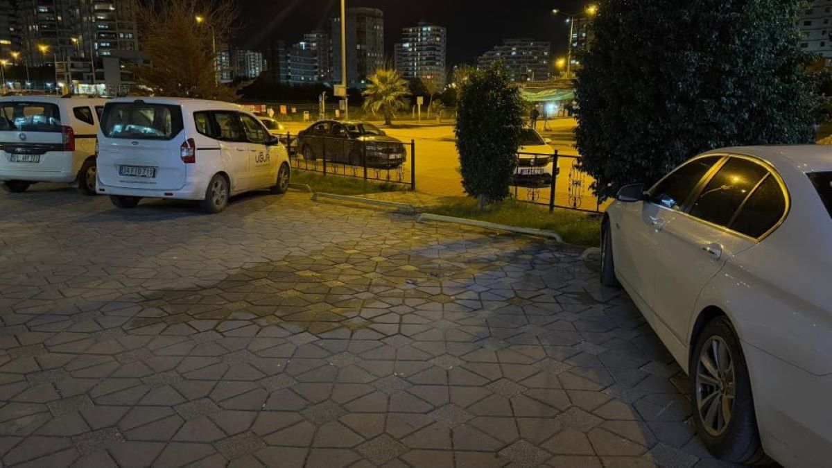Adana Cinayet 1