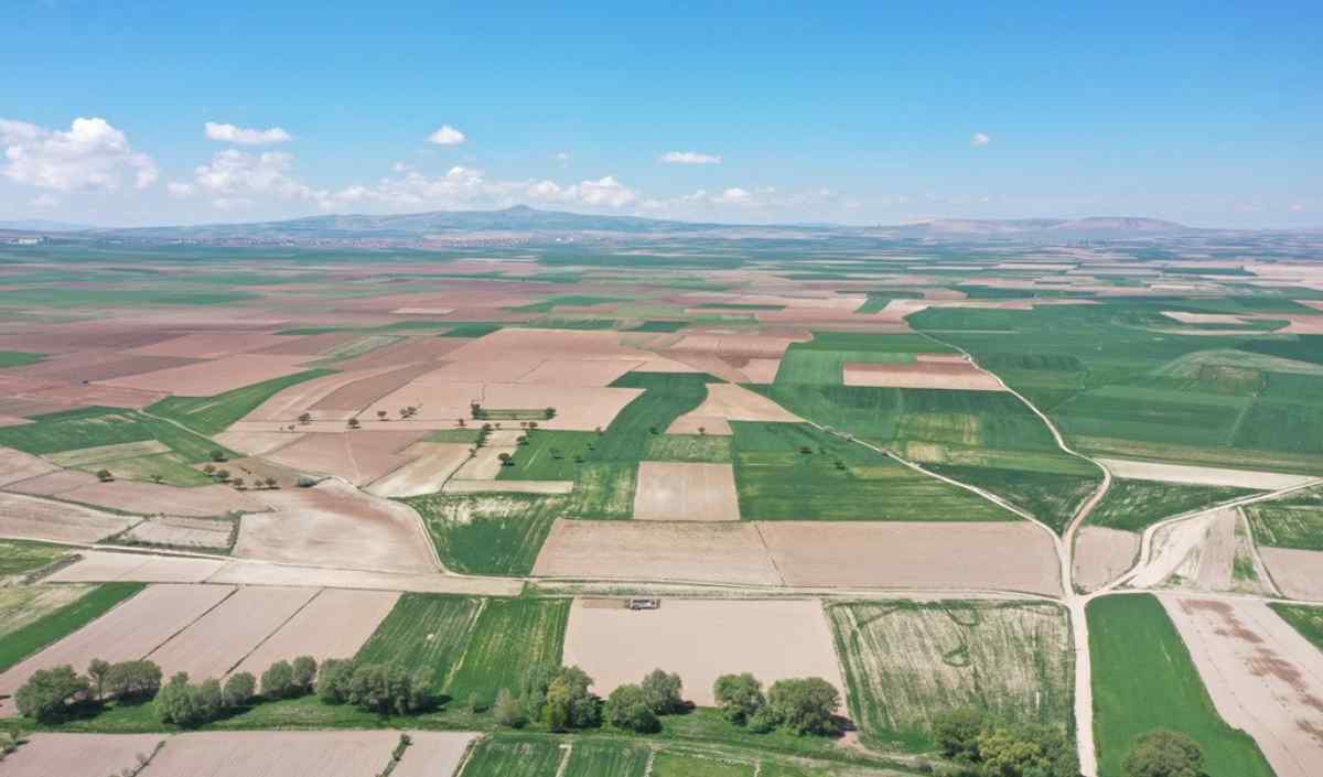 Kayseri Türkiye Sıralamasında Üst Sıralarda Yer Alıyor! (6)