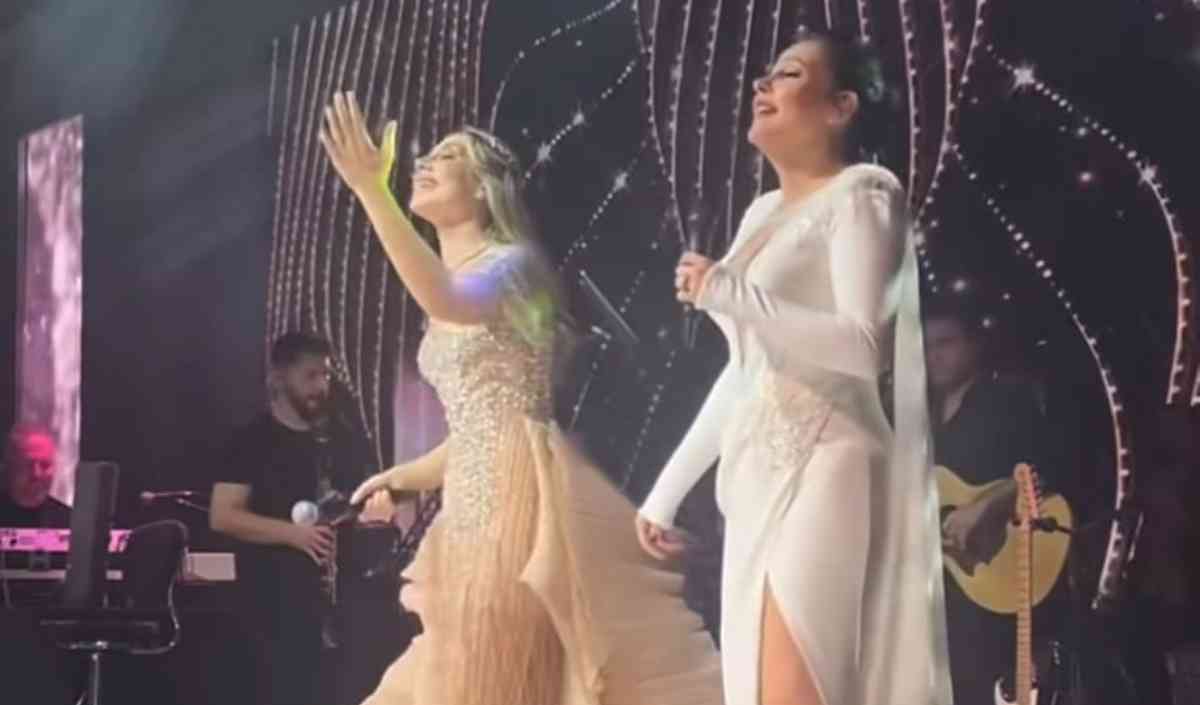Sinem Mehmet Kına Gecesi Kayseri (8)