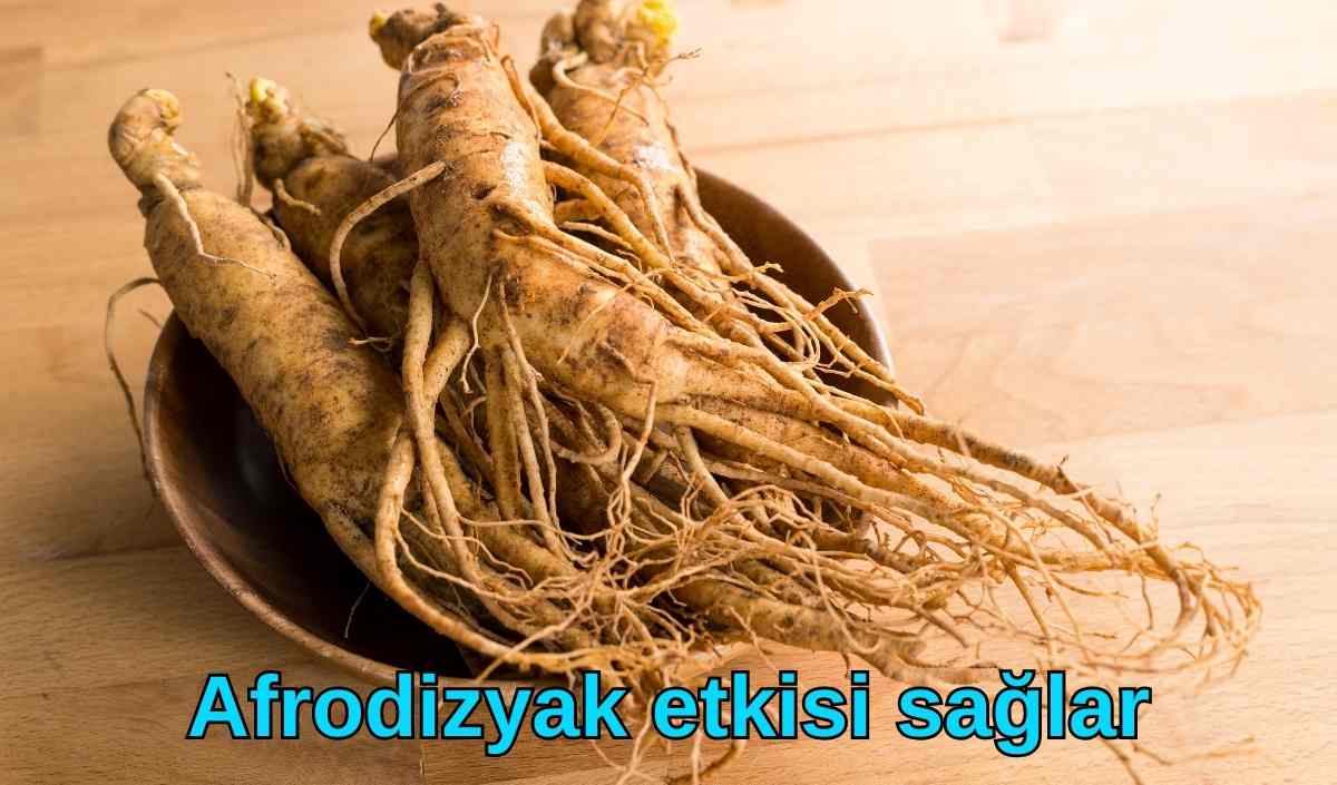 Kore Ginsengi:
Karaciğeri toksinlerden temizlemesiyle nam yapan Kore Ginsengi, zararlı kolesterolü de azaltan bir bitkidir. Özellikle Kore’de yetişen Kore Ginsengi’nin erkeklerin cinsel isteksizliğini ortadan kaldıran gerçek bir şifa deposudur. Strese karşı son derece faydalıdır Öyle ki bu konuda en başarılı şifalı bitki olduğu düşünülür. İçerisinde bulundurduğu Epimedyum nedeniyle, doğal afrodizyak etkisi olduğu ifade edilir. Antik çağdan beri bilinen Epimedyum bitkisi, libidoyu destekleyen ve cinsel gücü artıran etkileri ile tanınır.