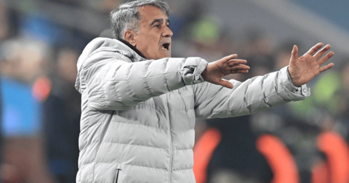 Şenol Güneş-1