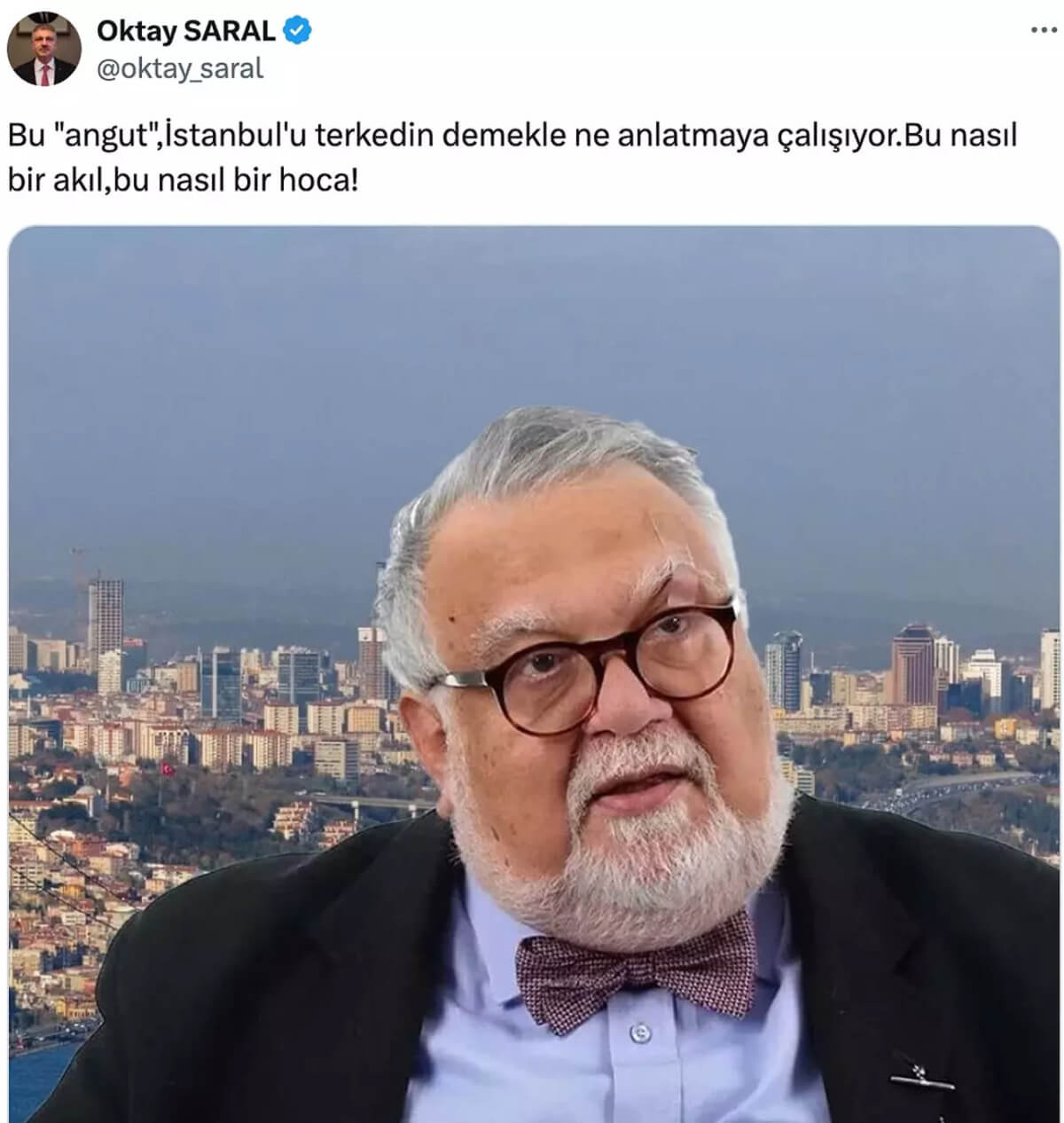 celal şengör