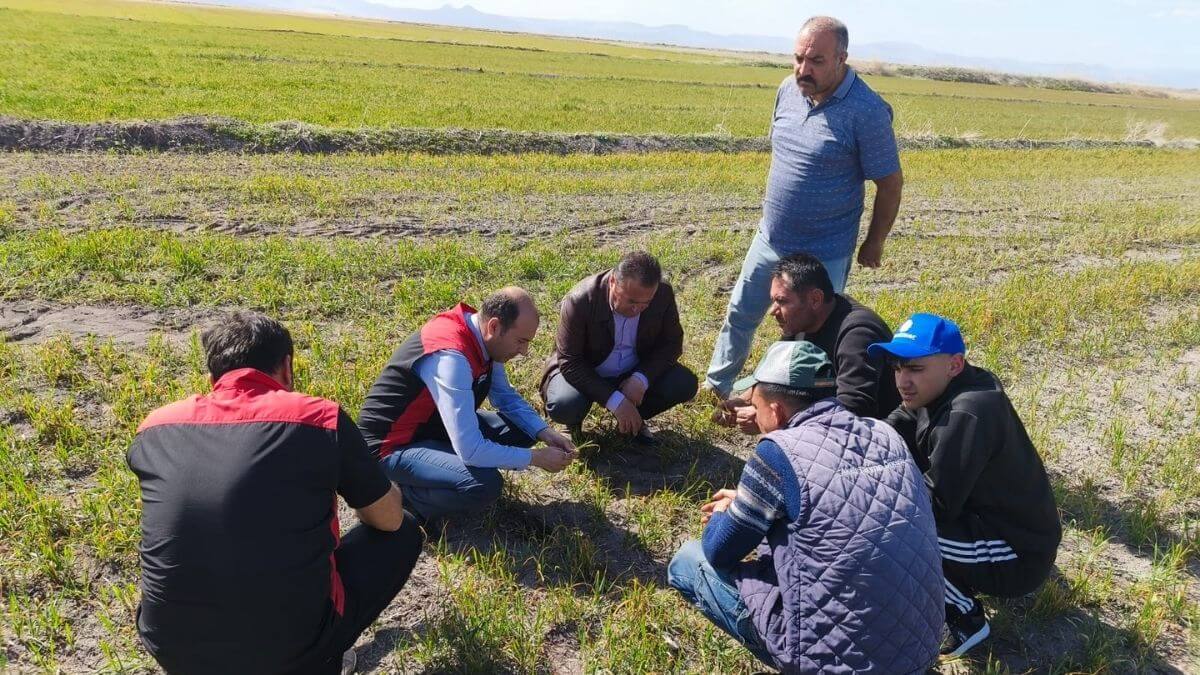 Kayseri Zirai Don Son Durum (3)