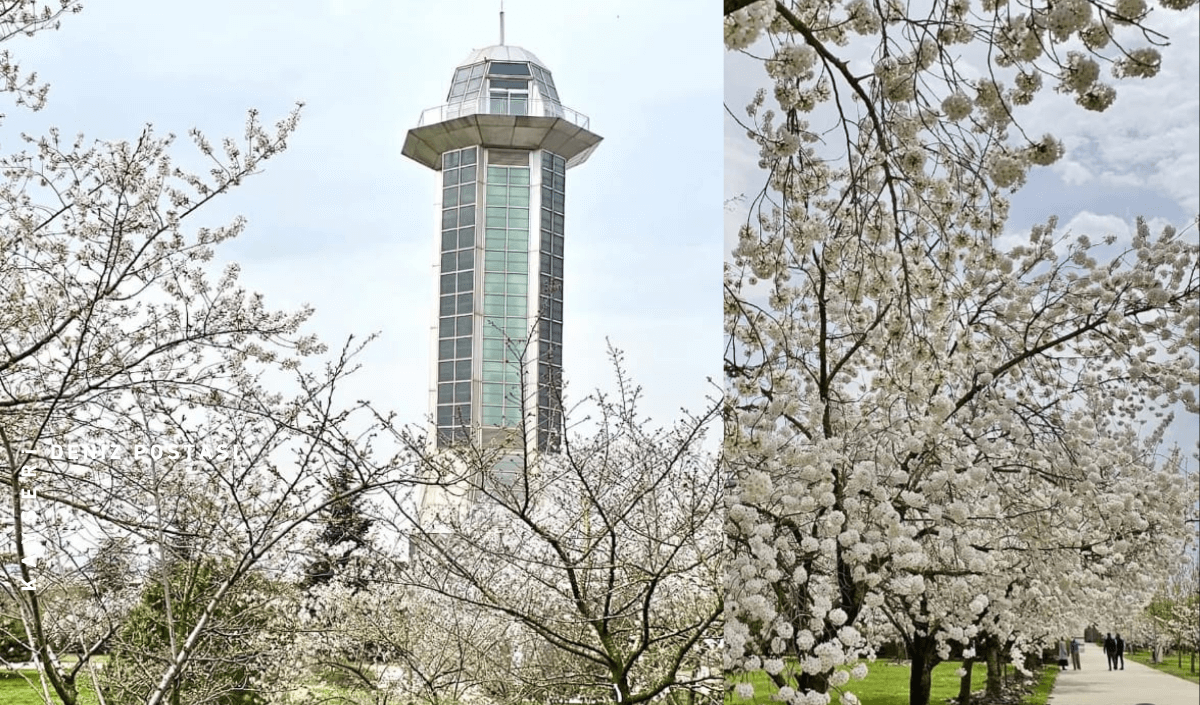 Görevden ayrılan Kayserili iş insanı Güler Sabancı’nın ilk adımı bakın ne oldu