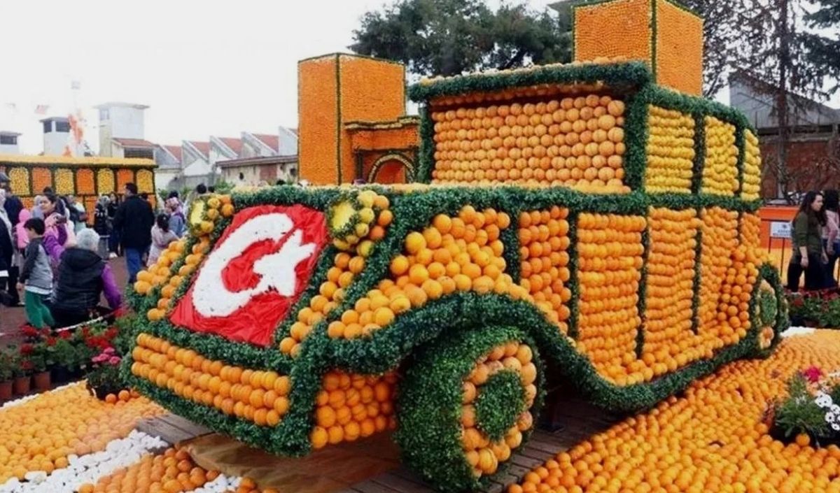 Portakal Çiçeği Fest (4)