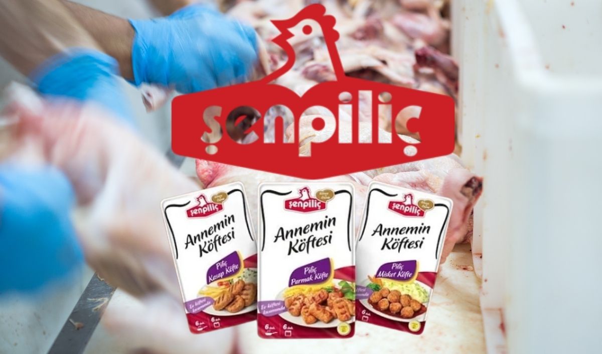 Şenpiliç Ölümcül Bakteri (1)