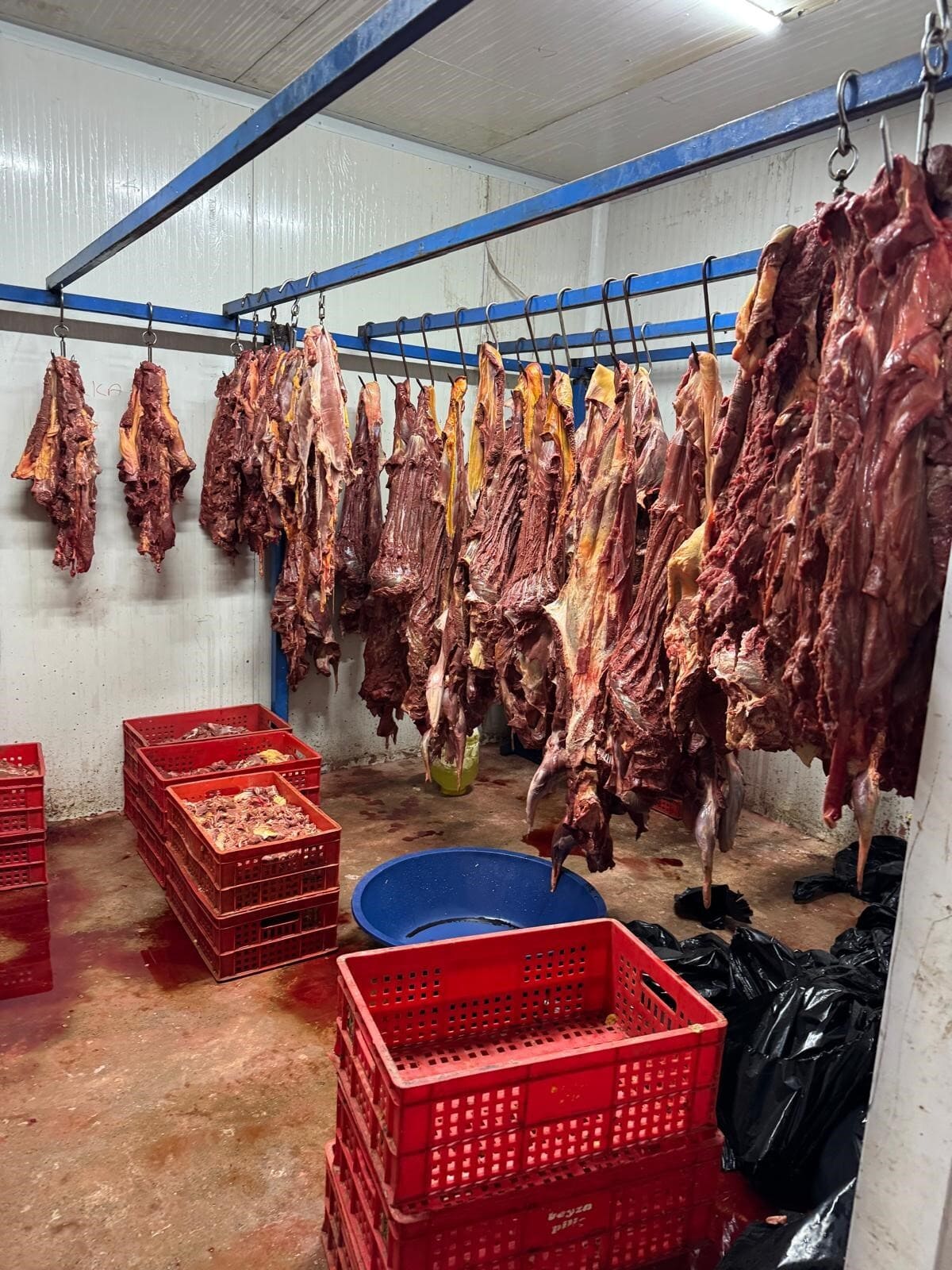 Adana Tek Tırnaklı Hayvan Eti (2)