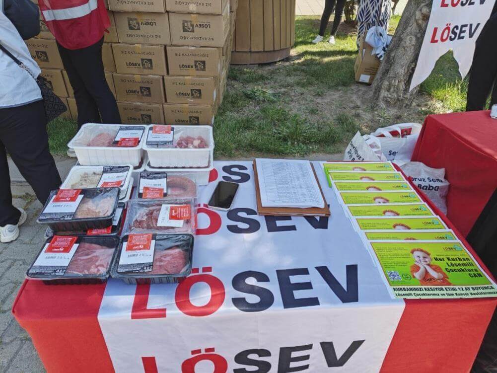 lösev