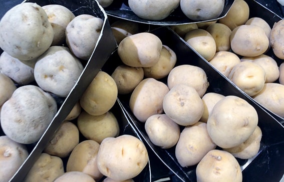 Beyaz Patates Min