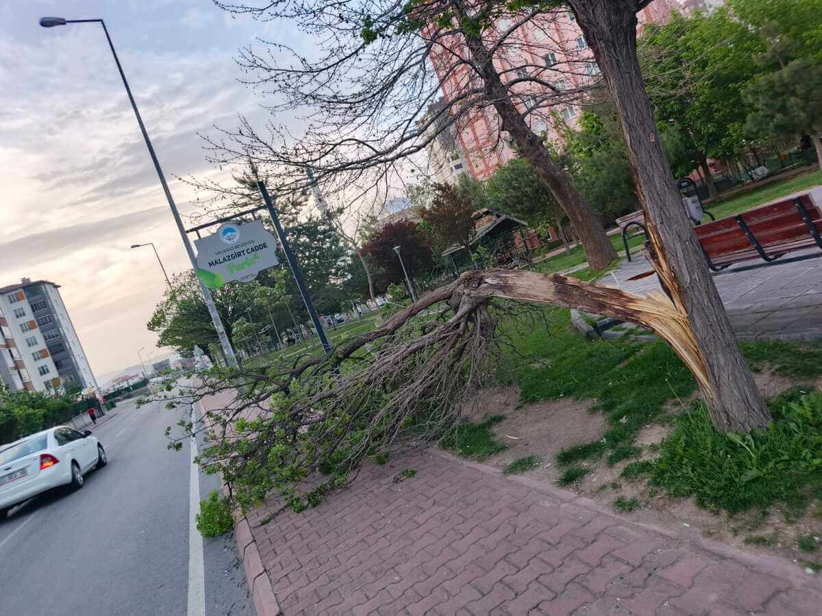 kayseri rüzgar