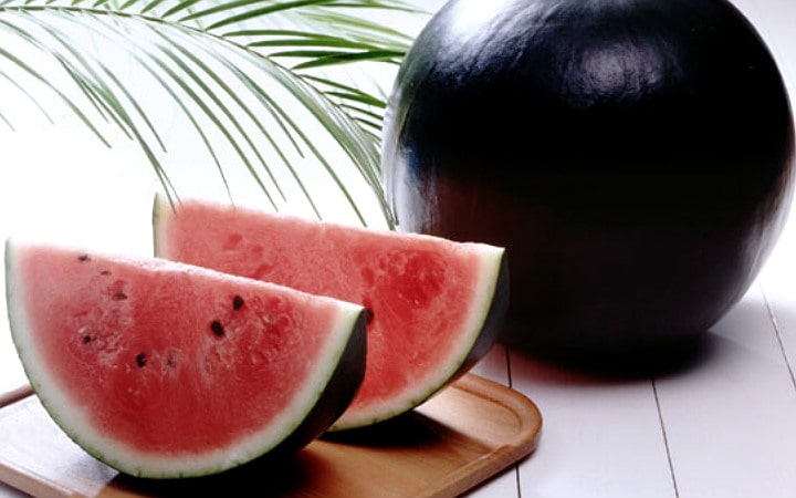 Densuke Karpuzu
Japonya’nın Hakkaido Adası’ndaki Tohma kasabasında yetişen Densuke karpuzu, bölgenin volkanik toprağı ve eşsiz iklimi sayesinde kendine has bir tat sunar. Yılda sadece 100’den az üretilen bu karpuz, yaklaşık 10 kilogram ağırlığında ve siyaha yakın kabuğuyla tanınır. Az çekirdekli yapısıyla dikkat çeken Densuke, normal karpuzlara göre çok daha tatlıdır. Nadirliği nedeniyle açık artırmalarda satılan bu karpuz, gerçek bir gurme lezzeti olarak öne çıkar.