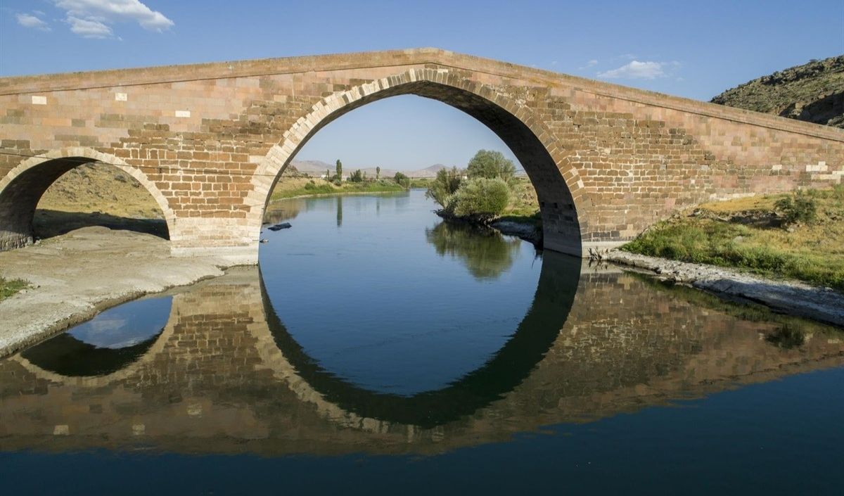 tekgöz