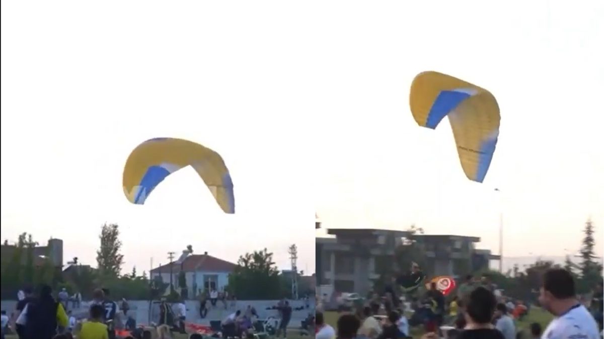 Fenerbahçe (3)