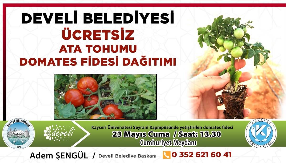 domates fidesi