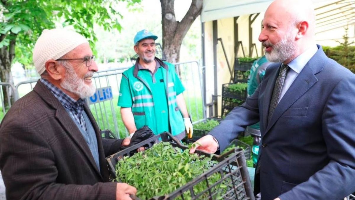 Kayseri'de Domates Fideleri Bakın Nerelerde Dağıtılacak (4)