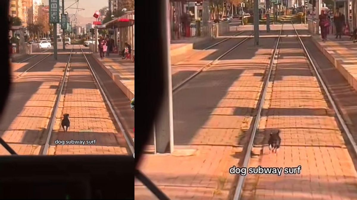 Kayseri'de Tramvay Kovalamacası (3)