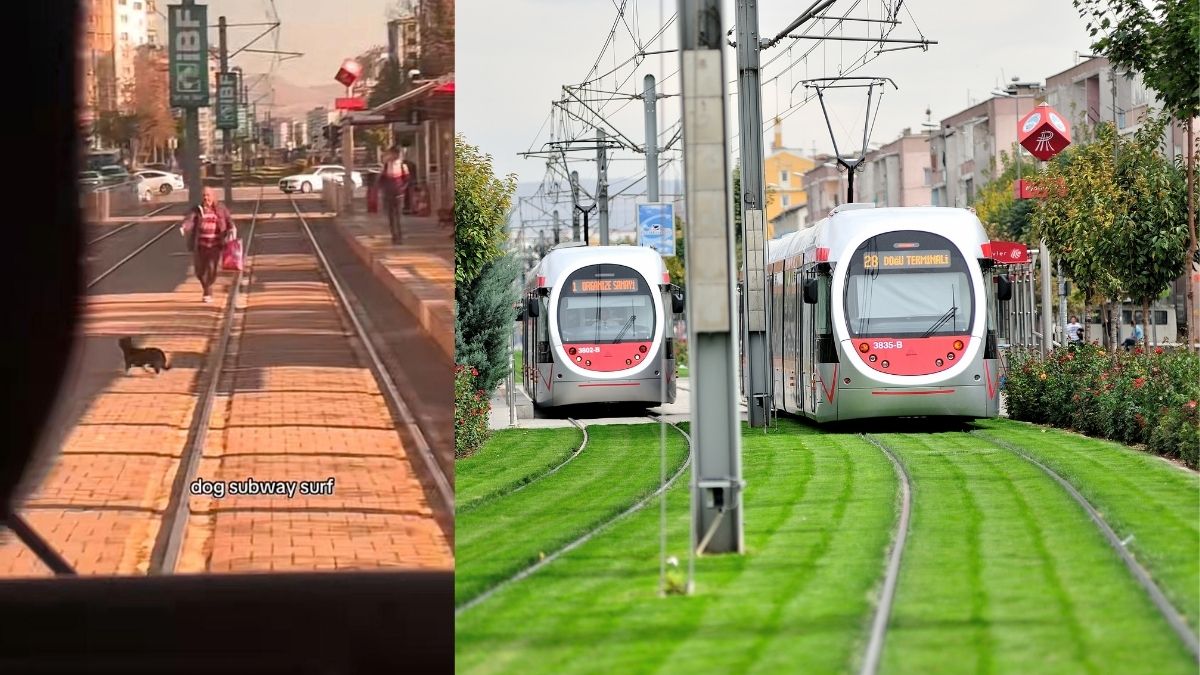 Kayseri'de Tramvay Kovalamacası (4)